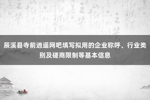 辰溪县寺前逍遥网吧填写拟用的企业称呼、行业类别及磋商限制等基本信息